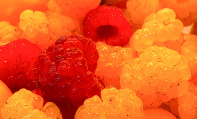 东契奇的全 东契奇的全