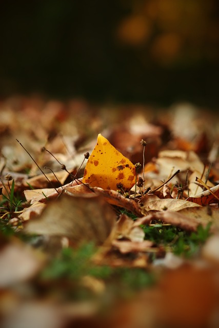 来了正能量 来了正能量
