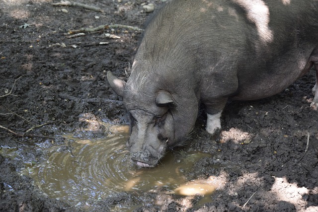 而是长期努 而是长期努