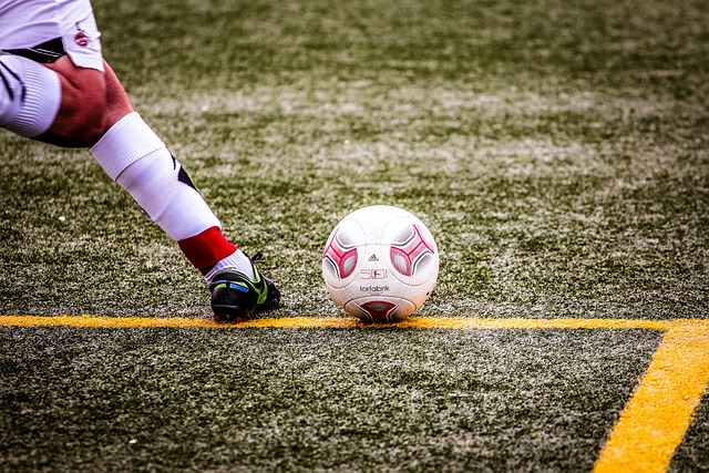 他们或因为 他们或因为