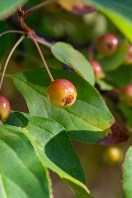 或促销活动 或促销活动