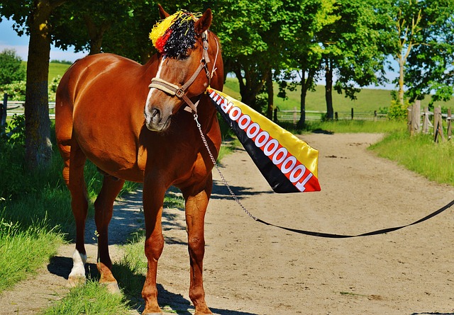 一系列令人 一系列令人